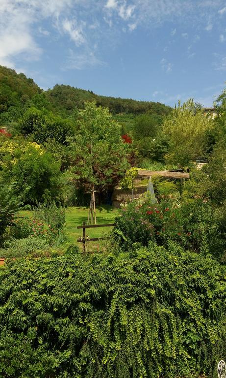 B&B Casa Brunelli Тренто Экстерьер фото